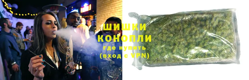 где найти   Струнино  Конопля OG Kush 